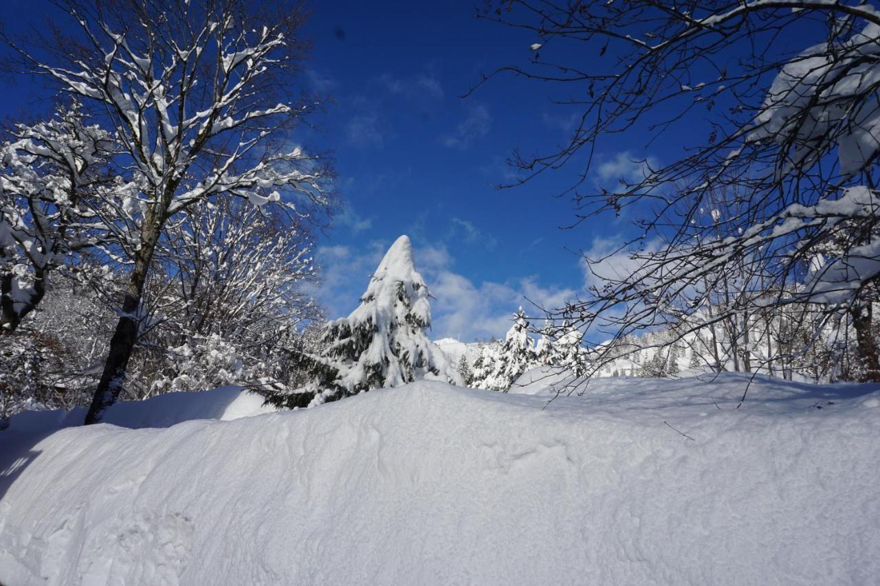 Haus Sonnenblick Hotel Bayrischzell Kültér fotó